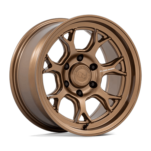 Black Rhino Hard Alloys - ETOSHA 17X8.5 6X135 87 +20 M-BRNZ